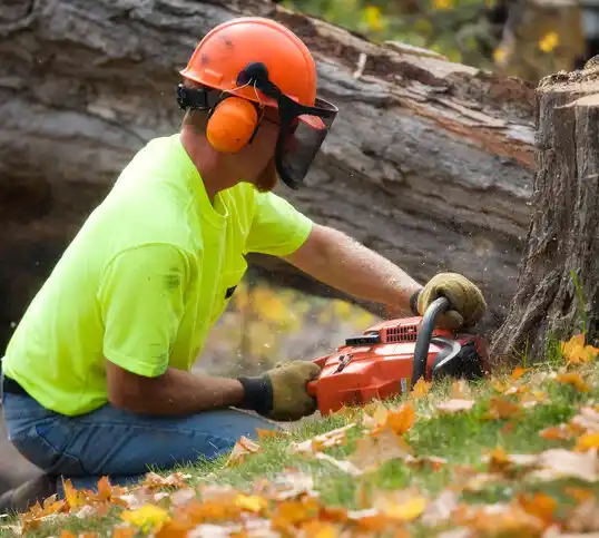 tree services Galesburg